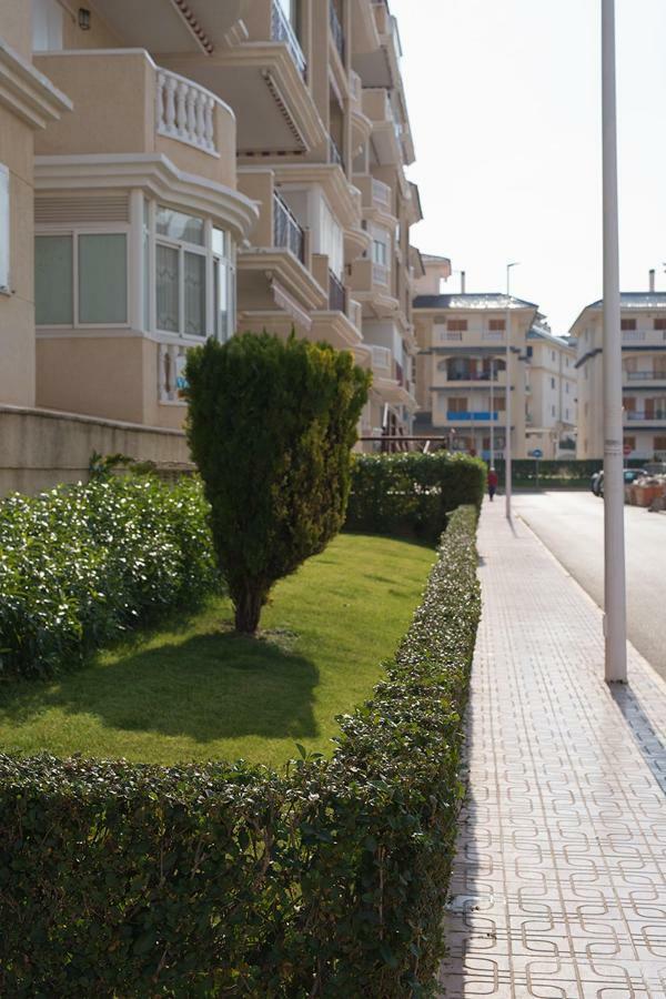 Apartment Sunny La Mata ลามาตา ภายนอก รูปภาพ